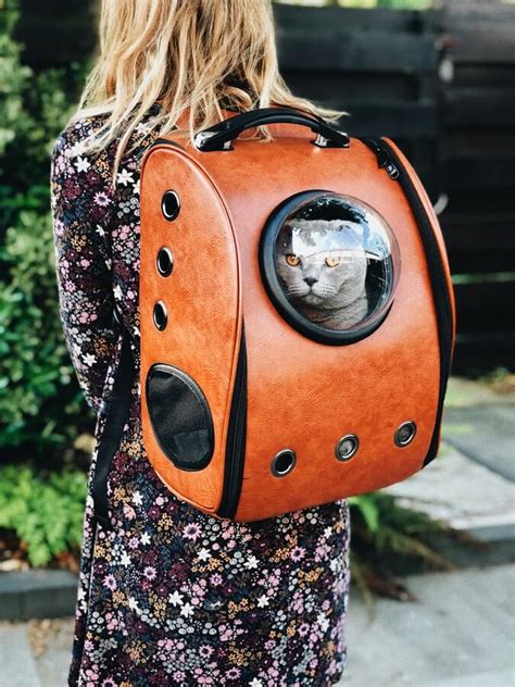 best cat carriers